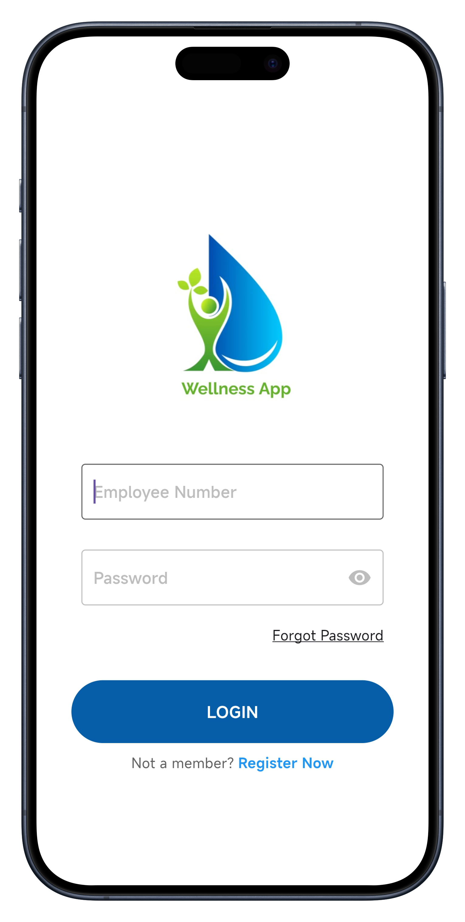 Wellness App Overview